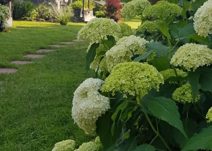 Prázdninový dům Zur Alten Linde *